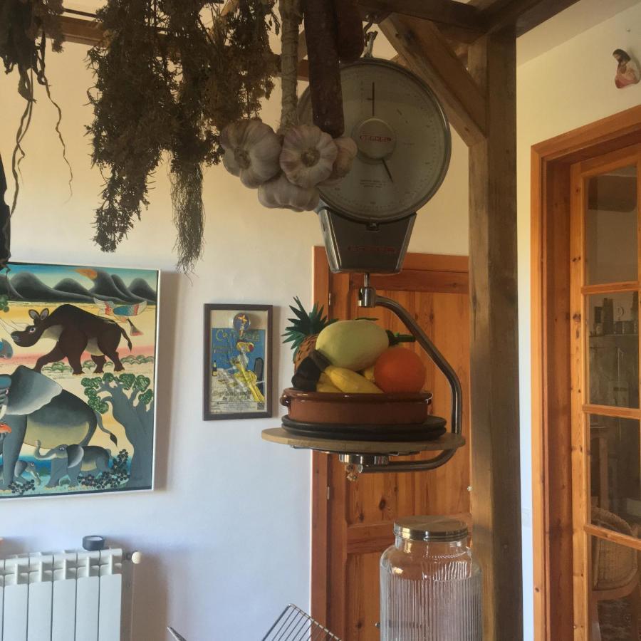 VI L'Art Wine Lodge - Only Adults Piera エクステリア 写真